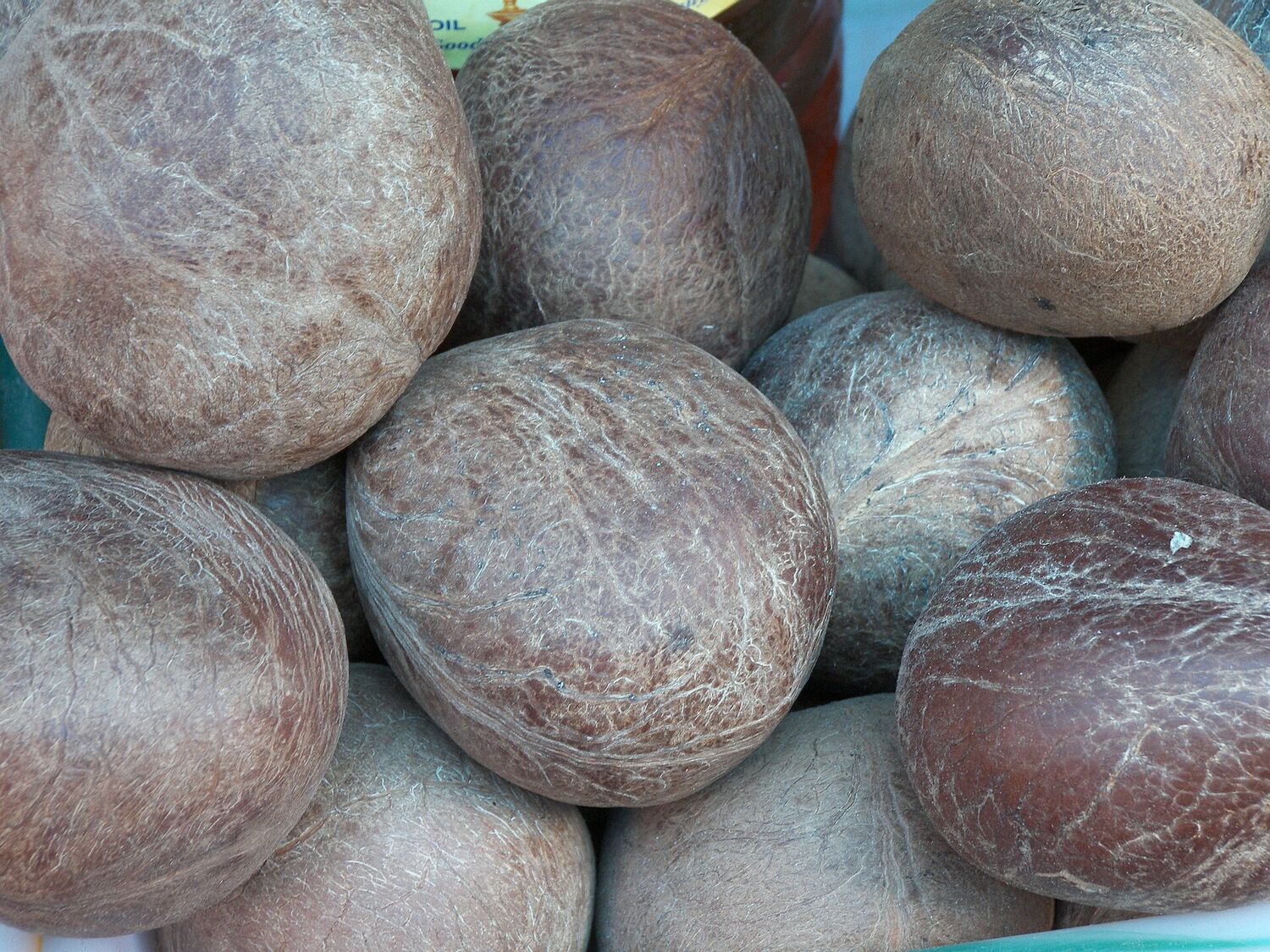 Sun-dried copra (dried coconut) laid out before pressing